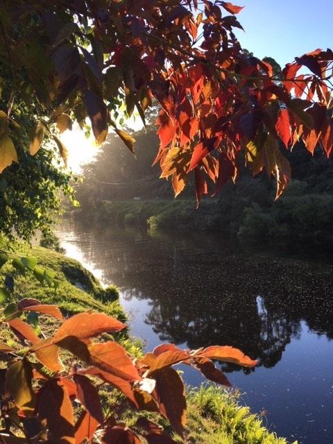 Forth River Cottage - Lightning Ridge Tourism 4