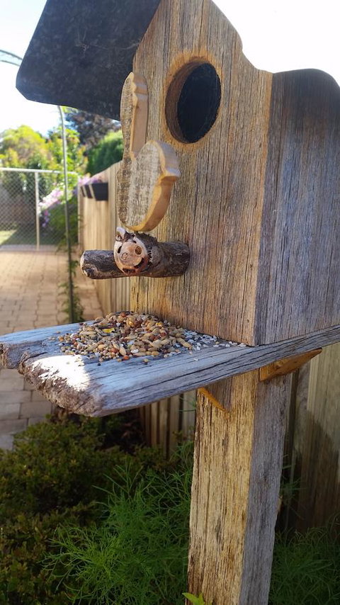Driftwood-Cottage - Lightning Ridge Tourism 29