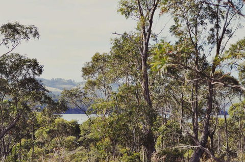 Oyster Cove Chalet - Lightning Ridge Tourism 17