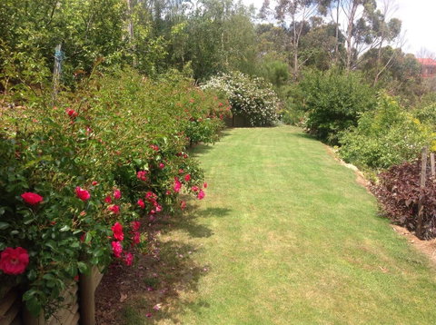 Sheer Pleasure Accommodation - Lightning Ridge Tourism 7