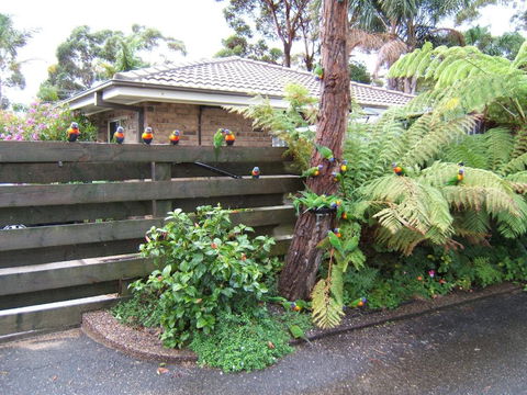 Ocean Drive Apartments - Lightning Ridge Tourism 3