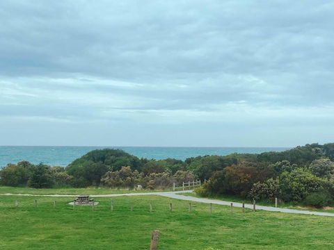 ODYSSEY APOLLO BAY - Lightning Ridge Tourism 2