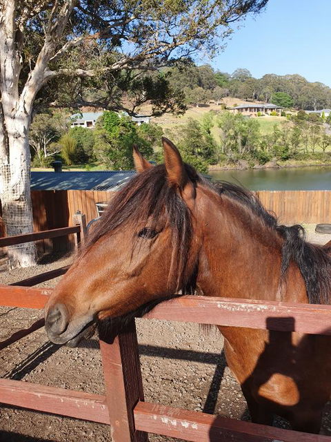 Park View Guest House - Lightning Ridge Tourism 1