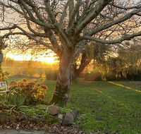 Peg Cottage - Lightning Ridge Tourism