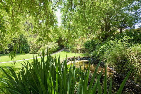 PLUM TREE COTTAGE - Spa Cottage With Woodfire - Lightning Ridge Tourism 3
