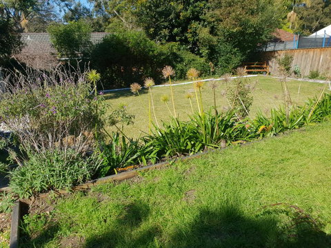 Poppies House - Lightning Ridge Tourism 1