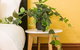 Quiet Quadruple Private Room In Strathfield 3min To Train Station Sleeps 4 - thumb 3