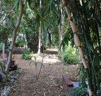 Rainforest Water Front River Shack Secluded. - Lightning Ridge Tourism