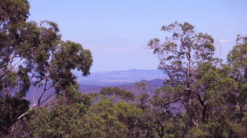 Ravensbourne Escape - Cedar Lodge - Lightning Ridge Tourism 0