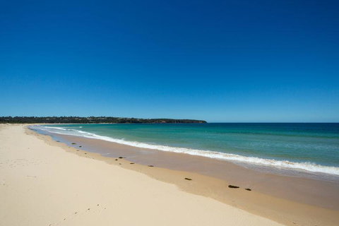 Rolling Waves 1 - Lightning Ridge Tourism 1