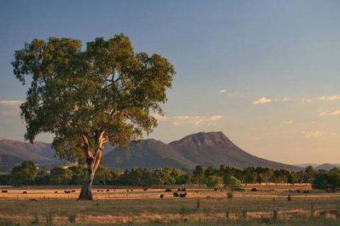 Rubicon Hotel Motel - Lightning Ridge Tourism 0
