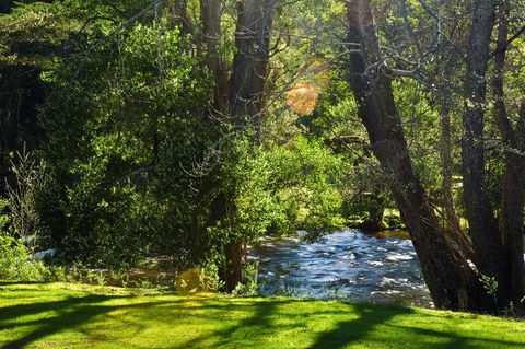 Russell Falls Holiday Cottages - Lightning Ridge Tourism 2