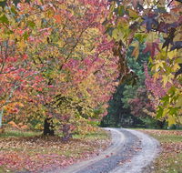 Rustic Spirit - Lightning Ridge Tourism
