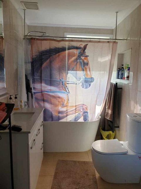 Silverbirch Cottage - Lightning Ridge Tourism 3