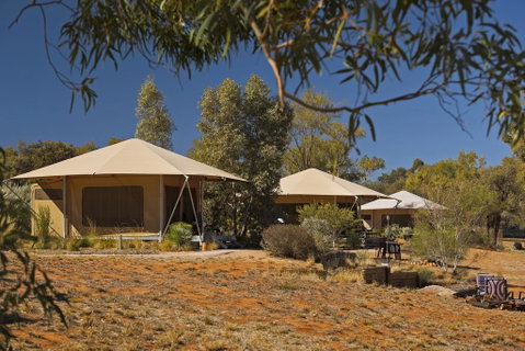 Squeakywindmill Boutique Tent B&B - Lightning Ridge Tourism 0