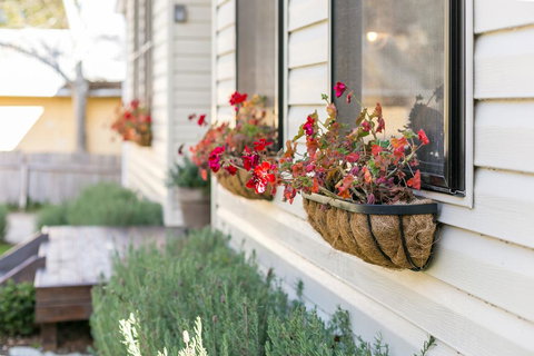 Sunnyside - Lightning Ridge Tourism 2