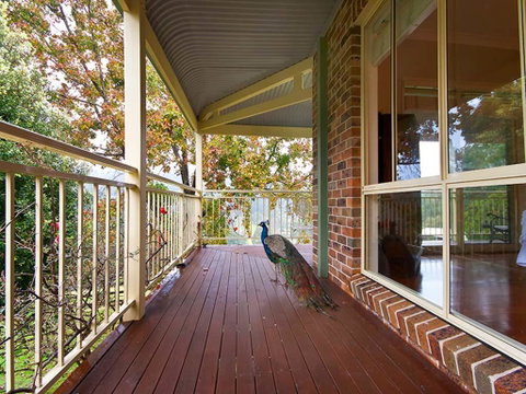 The Acreage Luxury B&B And Guesthouse - Lightning Ridge Tourism 1