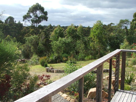 Southern Forest Accommodation - Lightning Ridge Tourism 21