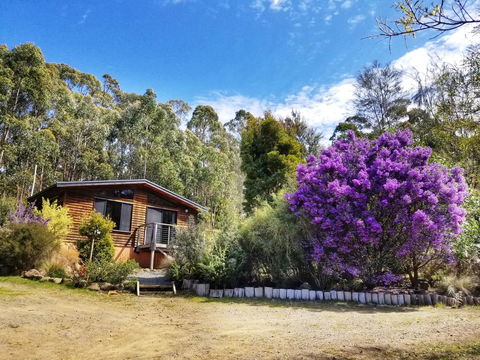 Southern Forest Accommodation - Lightning Ridge Tourism 10
