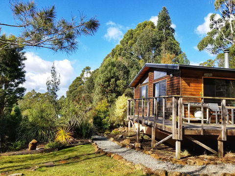 Southern Forest Accommodation - Lightning Ridge Tourism 0