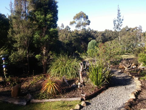 Southern Forest Accommodation - Lightning Ridge Tourism 2