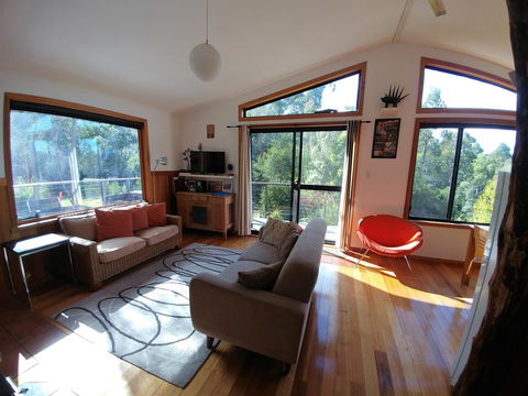Southern Forest Accommodation - Lightning Ridge Tourism 5