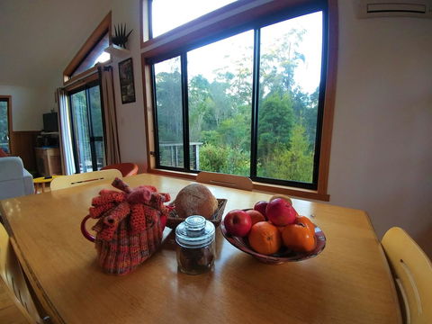 Southern Forest Accommodation - Lightning Ridge Tourism 11