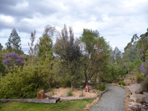 Southern Forest Accommodation - Lightning Ridge Tourism 23