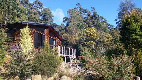 Southern Forest Accommodation - Lightning Ridge Tourism 7