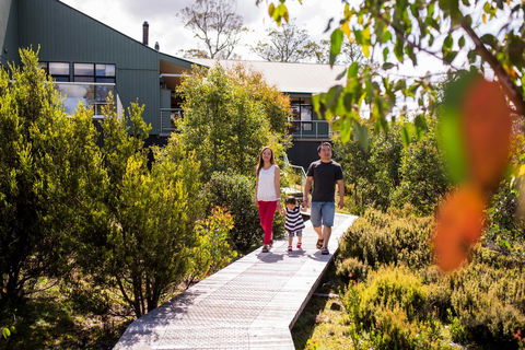 Cradle Mountain Hotel - Lightning Ridge Tourism 23