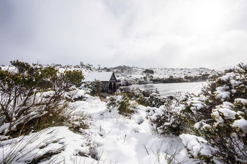 Cradle Mountain Hotel - Lightning Ridge Tourism 38