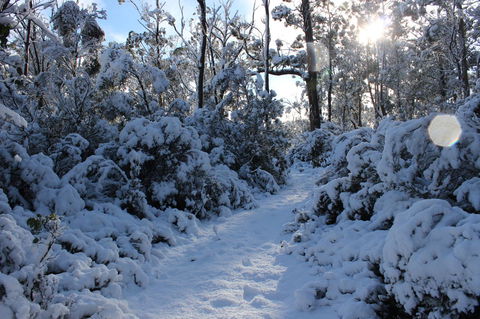 Cradle Mountain Hotel - Lightning Ridge Tourism 4