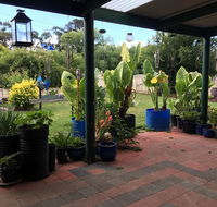 Blue Wren Bungalow - Lightning Ridge Tourism