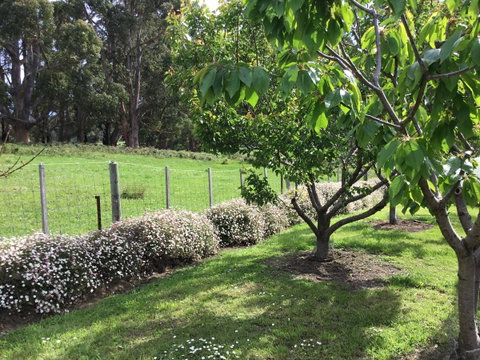 Nextdoor@portarthur - Lightning Ridge Tourism 18
