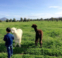 Taras Richmond Farmstay - Lightning Ridge Tourism