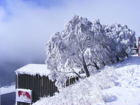 Arlberg Hotham - Lightning Ridge Tourism 15