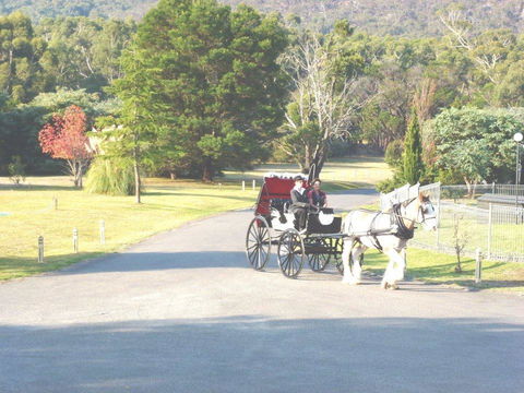 The Grampians Motel - Lightning Ridge Tourism 24