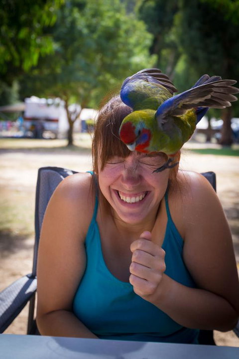 Halls Gap Lakeside Tourist Park - Lightning Ridge Tourism 5