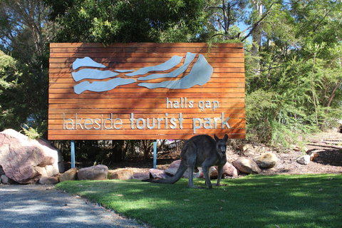 Halls Gap Lakeside Tourist Park - Lightning Ridge Tourism 3