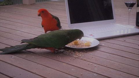 Wilsons Promontory Motel - Lightning Ridge Tourism 12