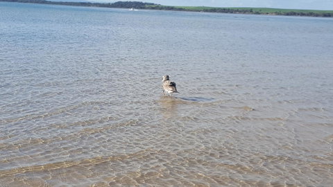 Wilsons Promontory Motel - Lightning Ridge Tourism 35