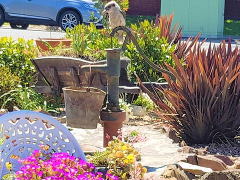 Wilsons Promontory Motel - Lightning Ridge Tourism 8