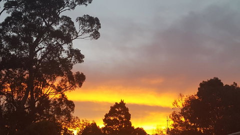 Wilsons Promontory Motel - Lightning Ridge Tourism 25