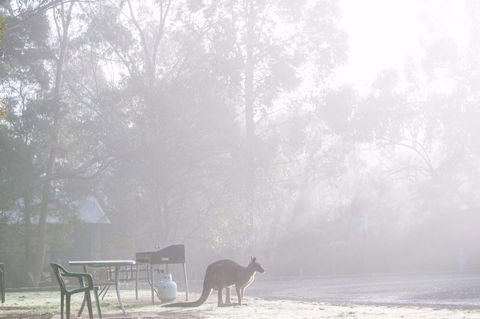 Gariwerd Motel - Lightning Ridge Tourism 18