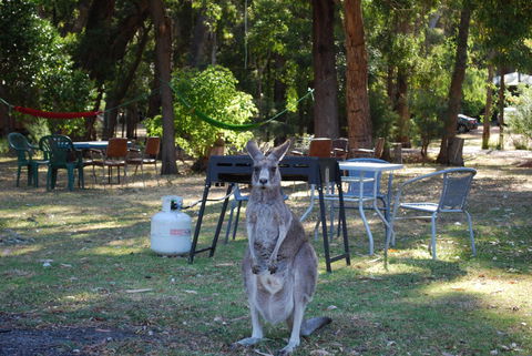 Gariwerd Motel - Lightning Ridge Tourism 26