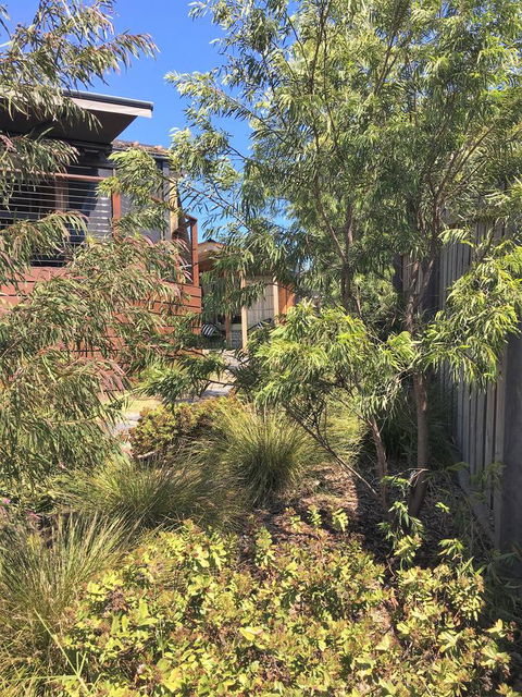 The Cosy Bungalow - Lightning Ridge Tourism 10