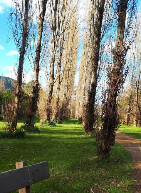 On The Banks - Lightning Ridge Tourism 11