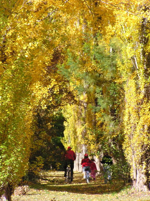 On The Banks - Lightning Ridge Tourism 15