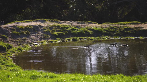 Limosa Rise - Lightning Ridge Tourism 15