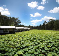 The Boathouses at Leaves  Fishes - Lightning Ridge Tourism